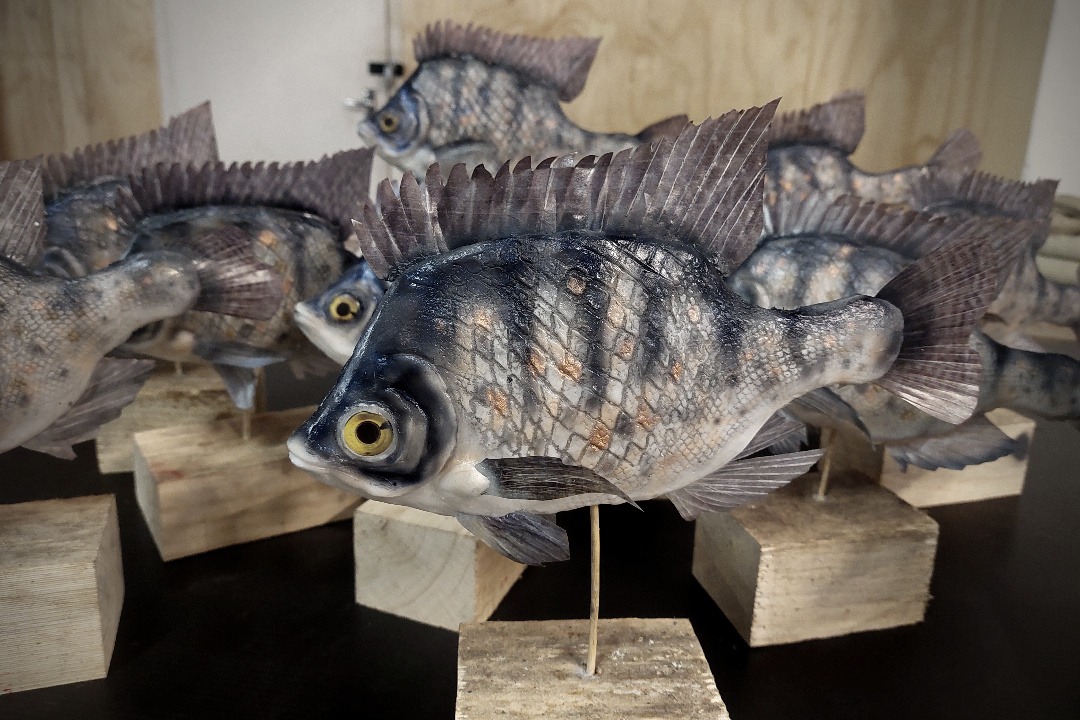 Props Fabrication · Animals, Fish
